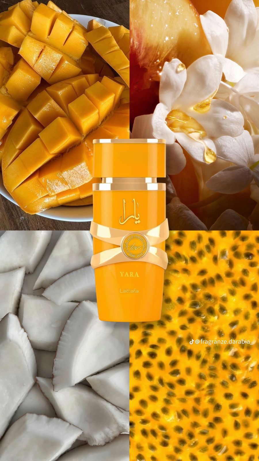 Woodny Collection – Eau de Parfum
Découvrez l’élégance et le raffinement avec Woodny Collection, une fragrance conçue pour ceux qui aiment se démarquer. Ce parfum allie des notes fraîches et boisées à une touche sensuelle et moderne, créant une signature