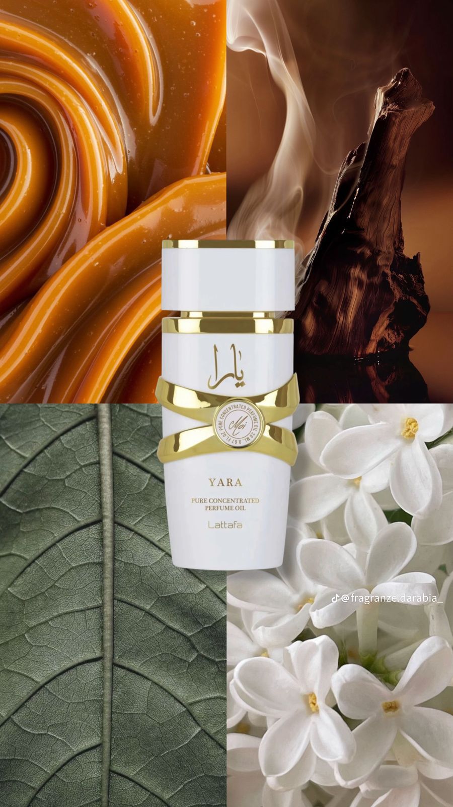 Woodny Collection – Eau de Parfum
Découvrez l’élégance et le raffinement avec Woodny Collection, une fragrance conçue pour ceux qui aiment se démarquer. Ce parfum allie des notes fraîches et boisées à une touche sensuelle et moderne, créant une signature